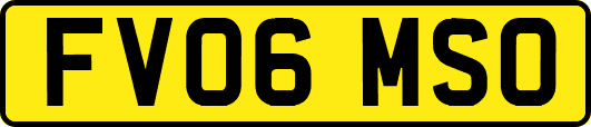 FV06MSO