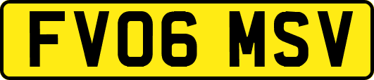 FV06MSV