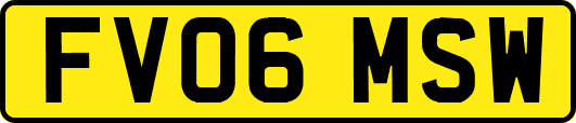 FV06MSW