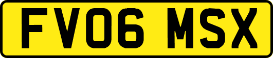 FV06MSX