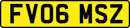 FV06MSZ