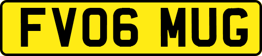 FV06MUG
