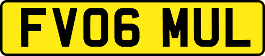 FV06MUL
