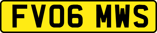 FV06MWS