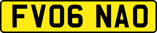 FV06NAO