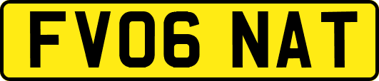 FV06NAT