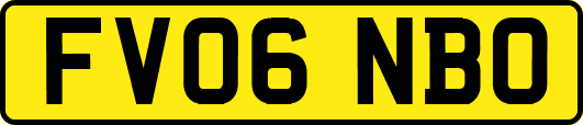 FV06NBO