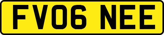 FV06NEE