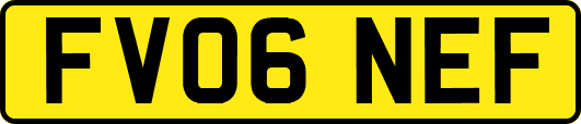FV06NEF