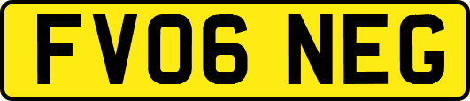 FV06NEG