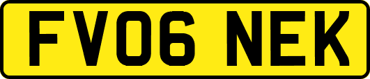 FV06NEK