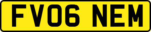 FV06NEM