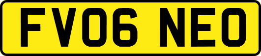FV06NEO