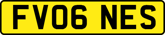 FV06NES