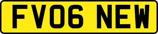 FV06NEW