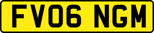 FV06NGM