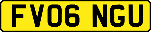 FV06NGU