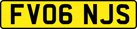 FV06NJS