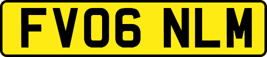 FV06NLM