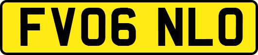 FV06NLO