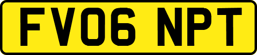 FV06NPT