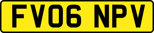 FV06NPV