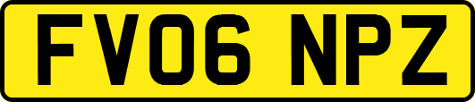 FV06NPZ