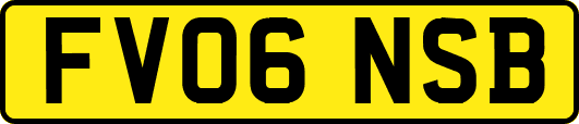 FV06NSB