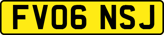 FV06NSJ