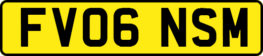 FV06NSM