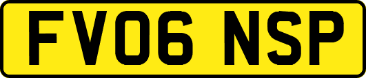 FV06NSP