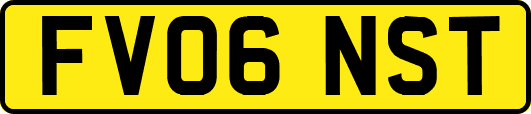 FV06NST