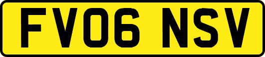 FV06NSV