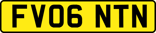 FV06NTN