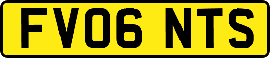 FV06NTS