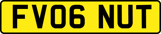 FV06NUT