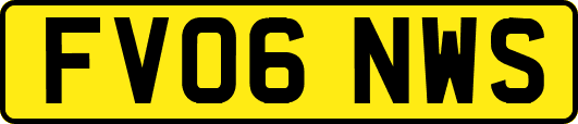 FV06NWS