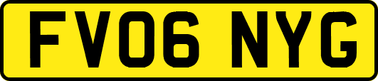 FV06NYG