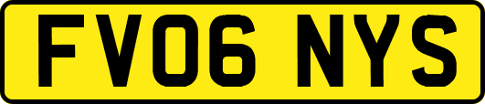 FV06NYS