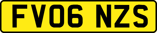 FV06NZS