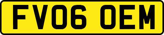 FV06OEM