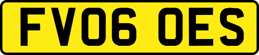 FV06OES