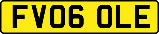 FV06OLE