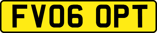 FV06OPT