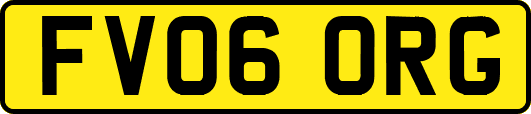 FV06ORG