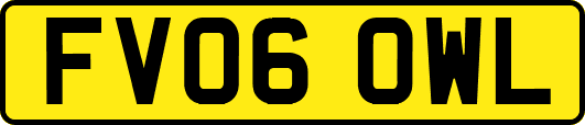 FV06OWL