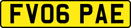FV06PAE