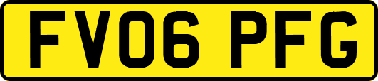 FV06PFG
