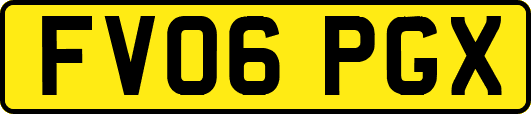FV06PGX