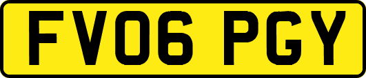 FV06PGY